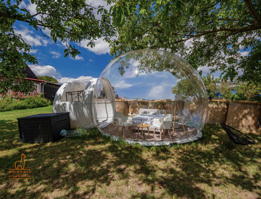 Bubble Tent Pfalz – Alpaka Al Capone