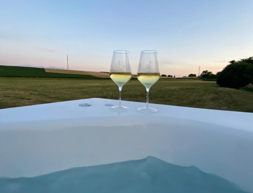 Bubble Tent Pfalz – Alpaka Alfonso