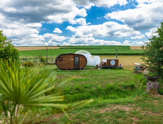 Bubble Tent Pfalz – Alpaka Alfonso